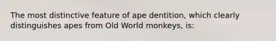 The most distinctive feature of ape dentition, which clearly distinguishes apes from Old World monkeys, is: