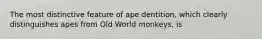 The most distinctive feature of ape dentition, which clearly distinguishes apes from Old World monkeys, is