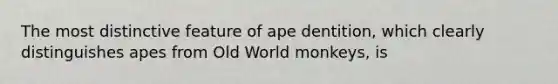 The most distinctive feature of ape dentition, which clearly distinguishes apes from Old World monkeys, is