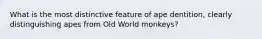 What is the most distinctive feature of ape dentition, clearly distinguishing apes from Old World monkeys?