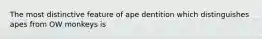 The most distinctive feature of ape dentition which distinguishes apes from OW monkeys is