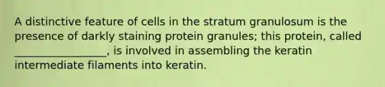 A distinctive feature of cells in the stratum granulosum is the presence of darkly staining protein granules; this protein, called _________________, is involved in assembling the keratin intermediate filaments into keratin.