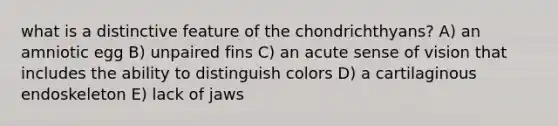 what is a distinctive feature of the chondrichthyans? A) an amniotic egg B) unpaired fins C) an acute sense of vision that includes the ability to distinguish colors D) a cartilaginous endoskeleton E) lack of jaws