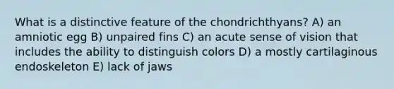 What is a distinctive feature of the chondrichthyans? A) an amniotic egg B) unpaired fins C) an acute sense of vision that includes the ability to distinguish colors D) a mostly cartilaginous endoskeleton E) lack of jaws