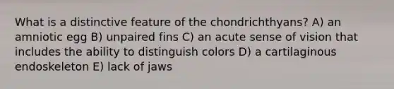 What is a distinctive feature of the chondrichthyans? A) an amniotic egg B) unpaired fins C) an acute sense of vision that includes the ability to distinguish colors D) a cartilaginous endoskeleton E) lack of jaws