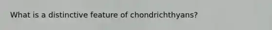 What is a distinctive feature of chondrichthyans?