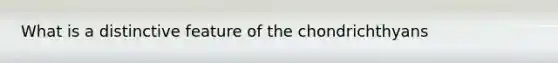 What is a distinctive feature of the chondrichthyans