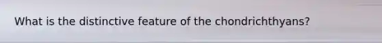 What is the distinctive feature of the chondrichthyans?