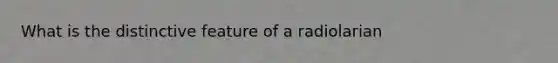 What is the distinctive feature of a radiolarian