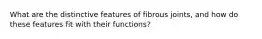 What are the distinctive features of fibrous joints, and how do these features fit with their functions?