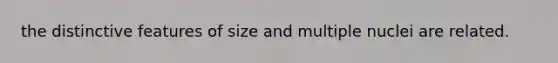the distinctive features of size and multiple nuclei are related.