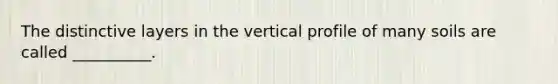 The distinctive layers in the vertical profile of many soils are called __________.