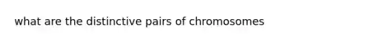 what are the distinctive pairs of chromosomes