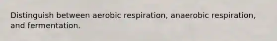 Distinguish between <a href='https://www.questionai.com/knowledge/kyxGdbadrV-aerobic-respiration' class='anchor-knowledge'>aerobic respiration</a>, anaerobic respiration, and fermentation.