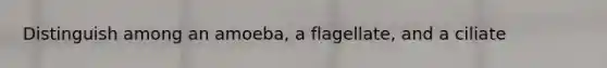 Distinguish among an amoeba, a flagellate, and a ciliate