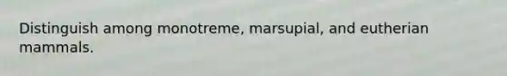 Distinguish among monotreme, marsupial, and eutherian mammals.