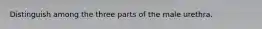 Distinguish among the three parts of the male urethra.