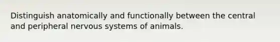 Distinguish anatomically and functionally between the central and peripheral nervous systems of animals.