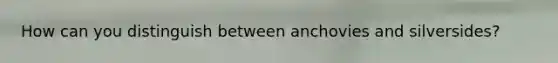 How can you distinguish between anchovies and silversides?