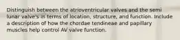 Distinguish between the atrioventricular valves and the semi lunar valve's in terms of location, structure, and function. Include a description of how the chordae tendineae and papillary muscles help control AV valve function.