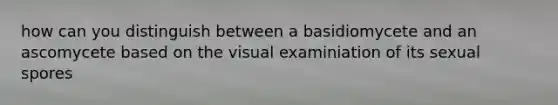 how can you distinguish between a basidiomycete and an ascomycete based on the visual examiniation of its sexual spores