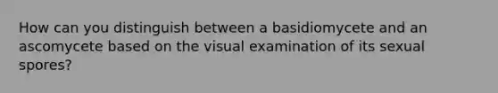 How can you distinguish between a basidiomycete and an ascomycete based on the visual examination of its sexual spores?