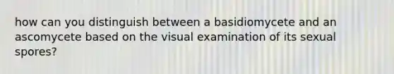 how can you distinguish between a basidiomycete and an ascomycete based on the visual examination of its sexual spores?