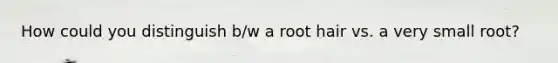 How could you distinguish b/w a root hair vs. a very small root?