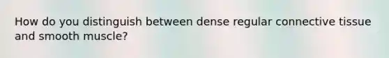 How do you distinguish between dense regular connective tissue and smooth muscle?