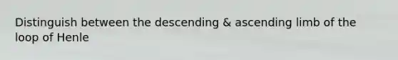 Distinguish between the descending & ascending limb of the loop of Henle