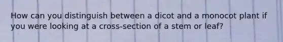 How can you distinguish between a dicot and a monocot plant if you were looking at a cross-section of a stem or leaf?