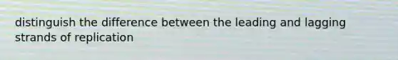 distinguish the difference between the leading and lagging strands of replication