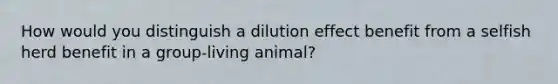 How would you distinguish a dilution effect benefit from a selfish herd benefit in a group-living animal?