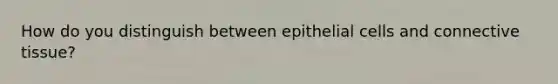 How do you distinguish between epithelial cells and <a href='https://www.questionai.com/knowledge/kYDr0DHyc8-connective-tissue' class='anchor-knowledge'>connective tissue</a>?