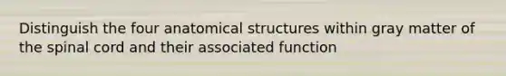 Distinguish the four anatomical structures within gray matter of <a href='https://www.questionai.com/knowledge/kkAfzcJHuZ-the-spinal-cord' class='anchor-knowledge'>the spinal cord</a> and their associated function