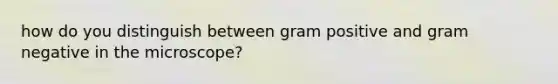 how do you distinguish between gram positive and gram negative in the microscope?