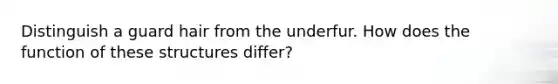 Distinguish a guard hair from the underfur. How does the function of these structures differ?