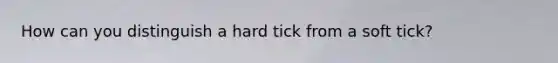 How can you distinguish a hard tick from a soft tick?