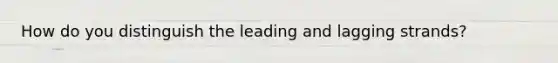 How do you distinguish the leading and lagging strands?