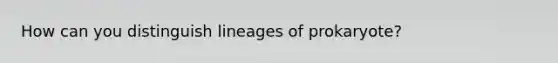 How can you distinguish lineages of prokaryote?