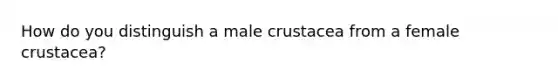 How do you distinguish a male crustacea from a female crustacea?