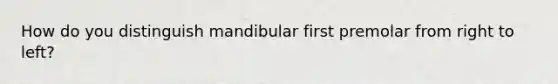 How do you distinguish mandibular first premolar from right to left?