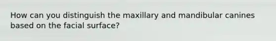 How can you distinguish the maxillary and mandibular canines based on the facial surface?