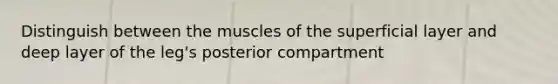 Distinguish between the muscles of the superficial layer and deep layer of the leg's posterior compartment