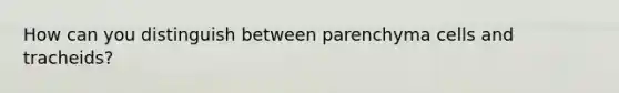 How can you distinguish between parenchyma cells and tracheids?