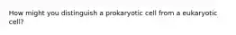 How might you distinguish a prokaryotic cell from a eukaryotic cell?