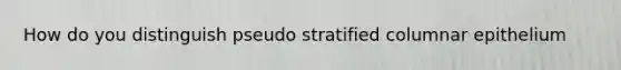 How do you distinguish pseudo stratified columnar epithelium