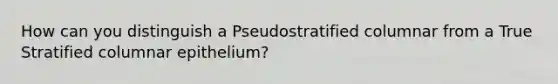 How can you distinguish a Pseudostratified columnar from a True Stratified columnar epithelium?