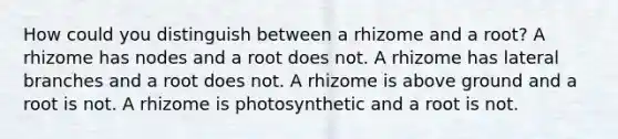 How could you distinguish between a rhizome and a root? A rhizome has nodes and a root does not. A rhizome has lateral branches and a root does not. A rhizome is above ground and a root is not. A rhizome is photosynthetic and a root is not.