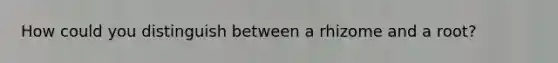 How could you distinguish between a rhizome and a root?